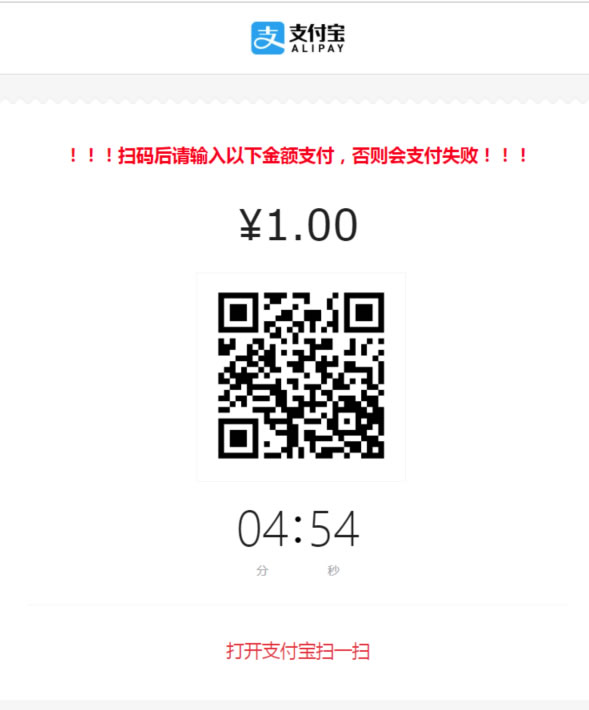 QR Payment Screen